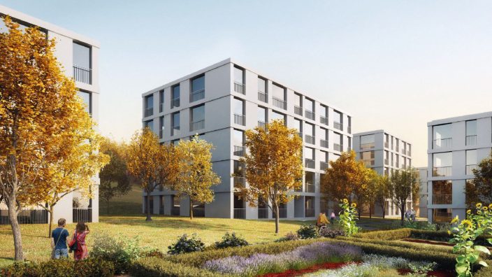 Projektentwicklung Hitzkirch