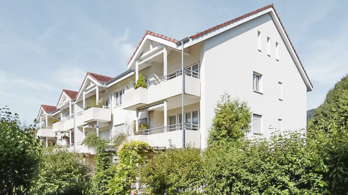 VMA_Zwingen_MFH_Reckholderstrasse_web1
